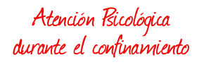 Recurso 91