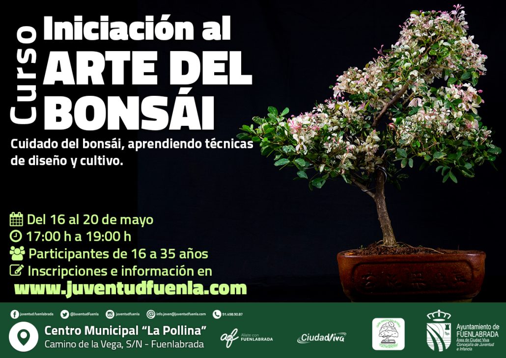 Iniciación bonsái web_1