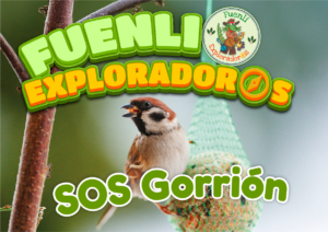 Destacada_web_SOS_Gorrion_nov25