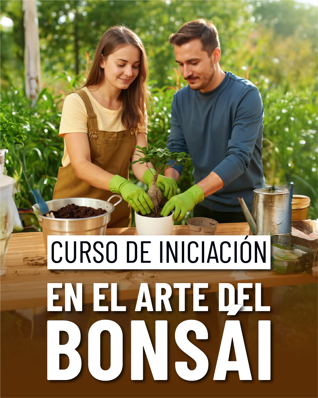 RRSS_1080x1350_C1_web_bonsais_nov25