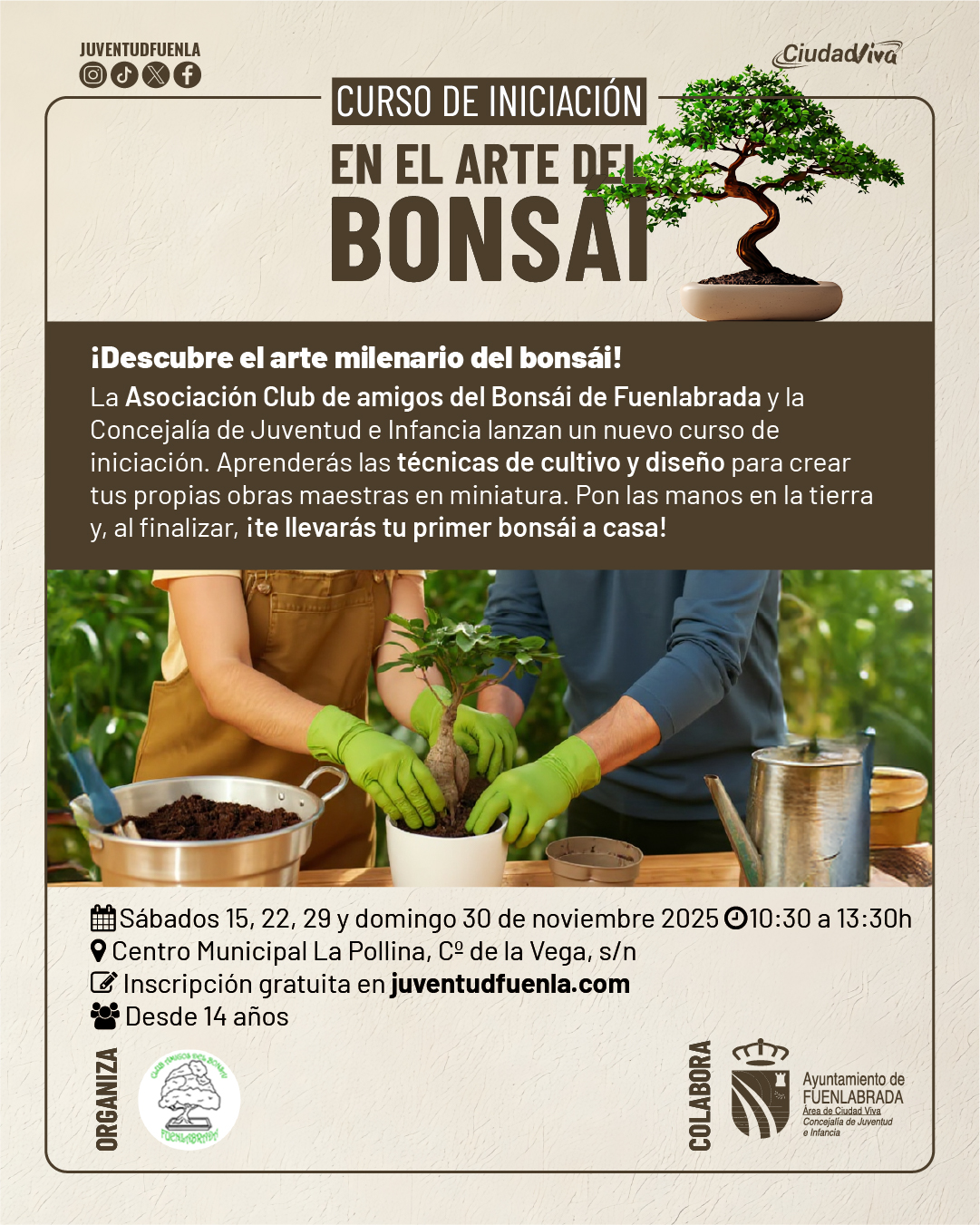 RRSS_1080x1350_C2_web_bonsais_nov25