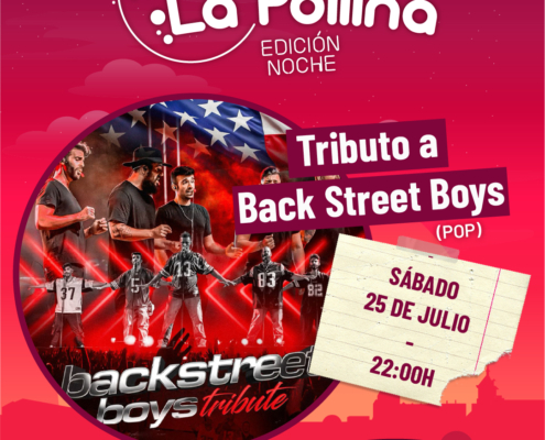 007_Tributo_Back_Street_Boys_Ed_Noche26